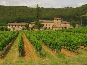chianti mountains, tuscany, wine-518459.jpg